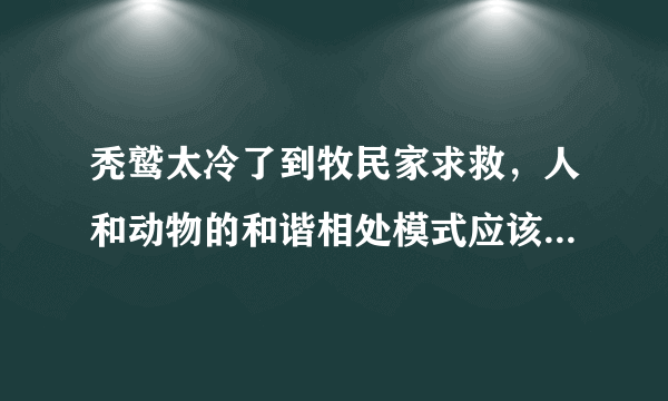 秃鹫太冷了到牧民家求救，人和动物的和谐相处模式应该是怎样的？