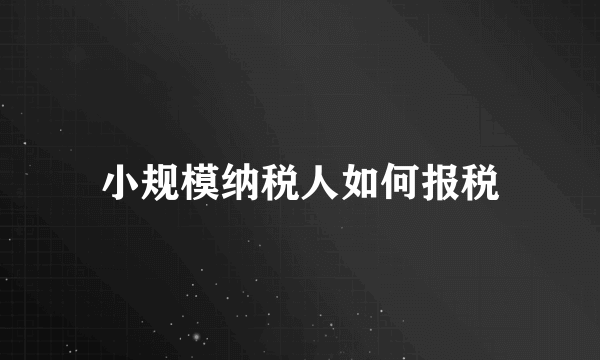 小规模纳税人如何报税