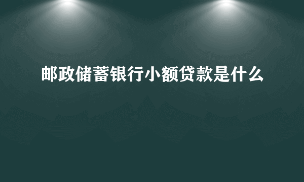 邮政储蓄银行小额贷款是什么