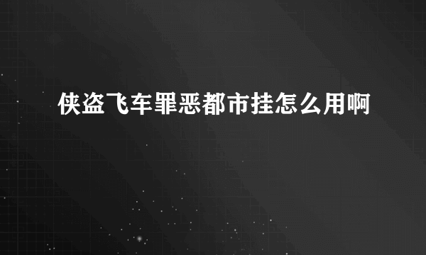 侠盗飞车罪恶都市挂怎么用啊