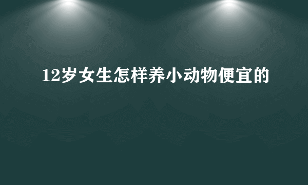 12岁女生怎样养小动物便宜的