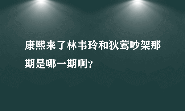 康熙来了林韦玲和狄莺吵架那期是哪一期啊？