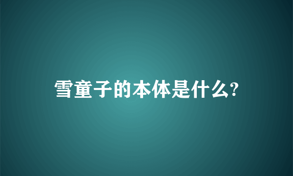 雪童子的本体是什么?