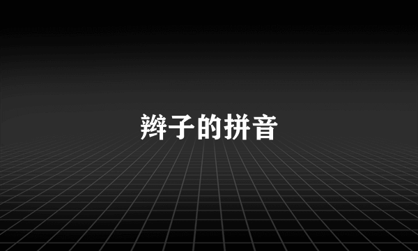 辫子的拼音