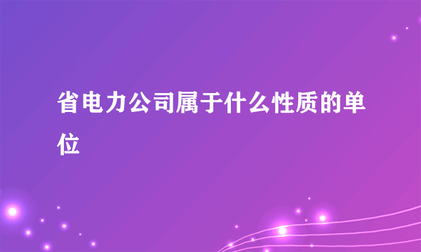 省电力公司属于什么性质的单位