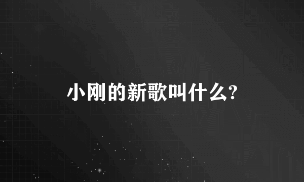 小刚的新歌叫什么?