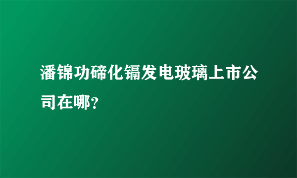 潘锦功碲化镉发电玻璃上市公司在哪？