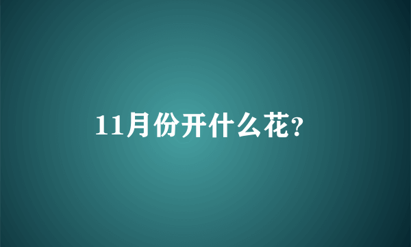 11月份开什么花？