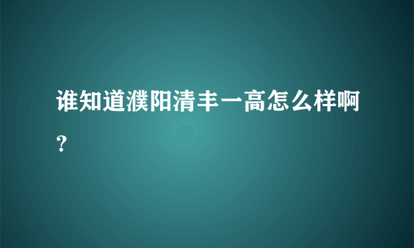 谁知道濮阳清丰一高怎么样啊？