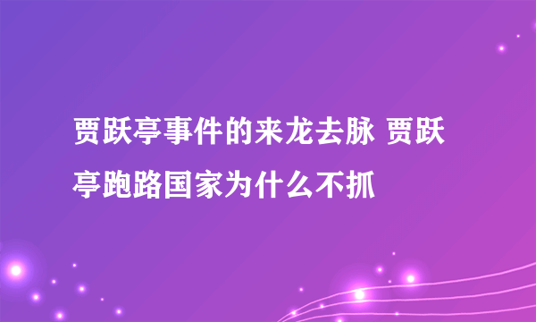 贾跃亭事件的来龙去脉 贾跃亭跑路国家为什么不抓