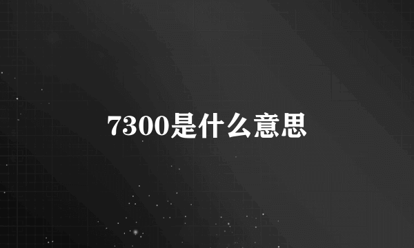 7300是什么意思