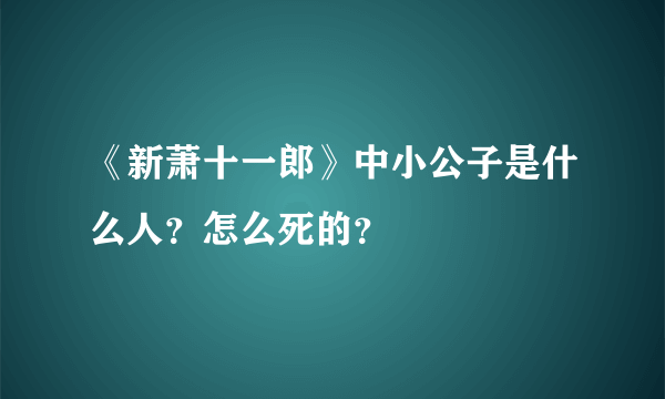 《新萧十一郎》中小公子是什么人？怎么死的？