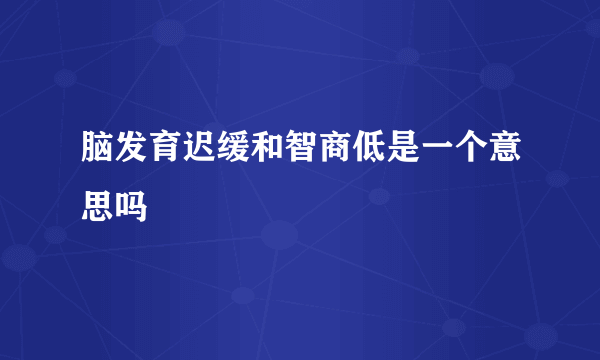 脑发育迟缓和智商低是一个意思吗