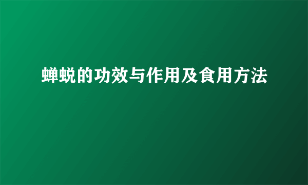 蝉蜕的功效与作用及食用方法