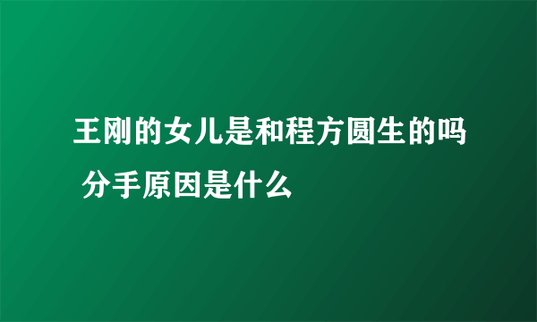 王刚的女儿是和程方圆生的吗 分手原因是什么