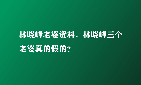 林晓峰老婆资料，林晓峰三个老婆真的假的？