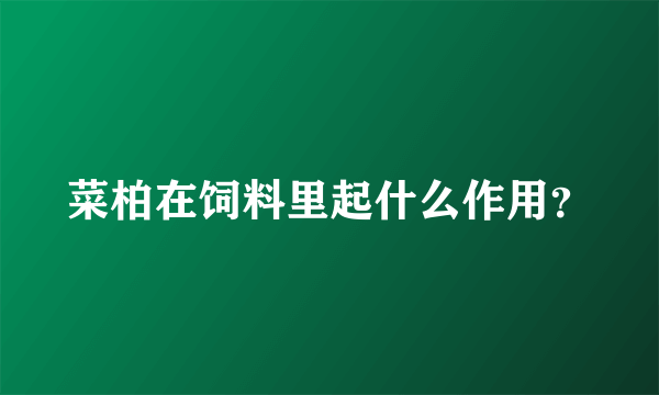 菜柏在饲料里起什么作用？