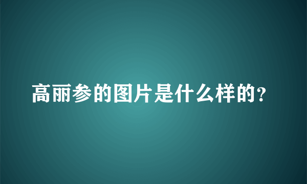 高丽参的图片是什么样的？