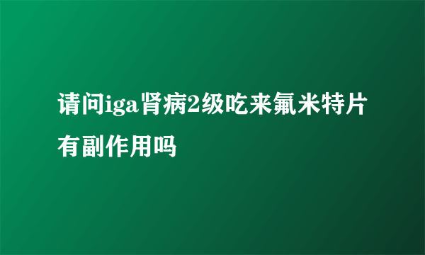 请问iga肾病2级吃来氟米特片有副作用吗