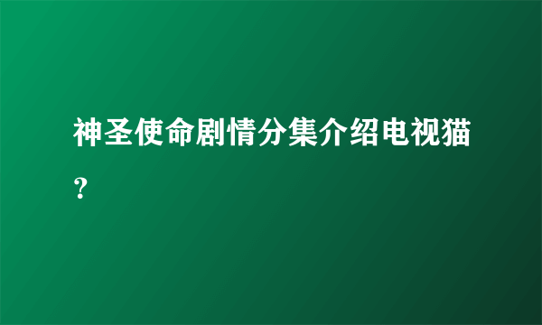 神圣使命剧情分集介绍电视猫？