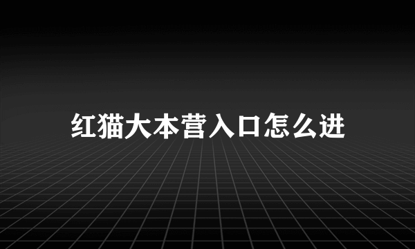 红猫大本营入口怎么进