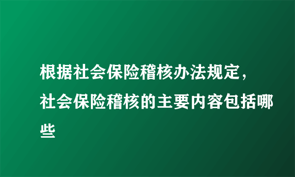 根据社会保险稽核办法规定，社会保险稽核的主要内容包括哪些