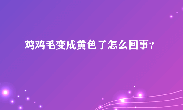 鸡鸡毛变成黄色了怎么回事？