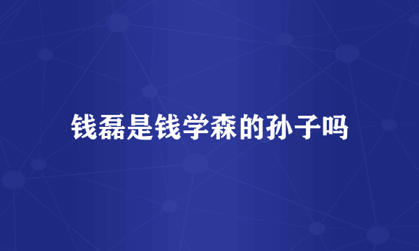 钱磊是钱学森的孙子吗