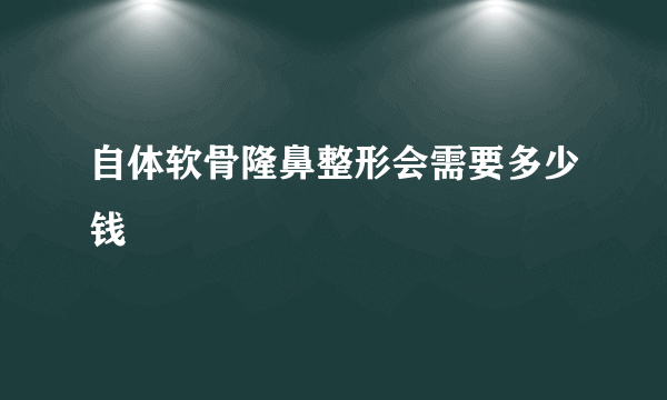 自体软骨隆鼻整形会需要多少钱