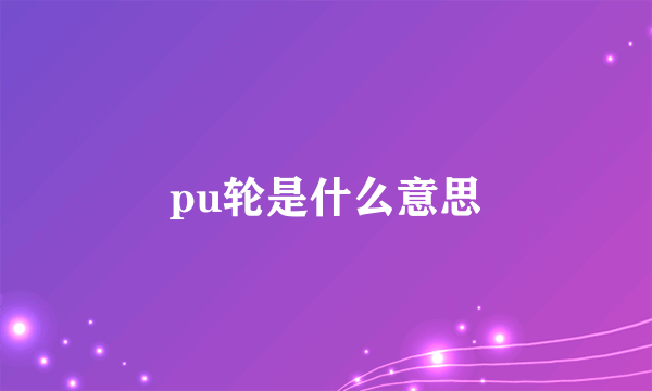 pu轮是什么意思