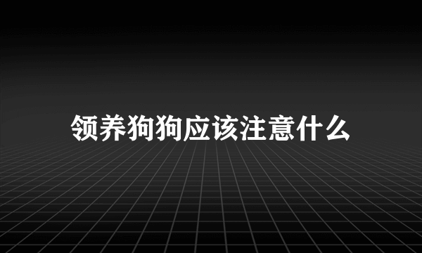 领养狗狗应该注意什么