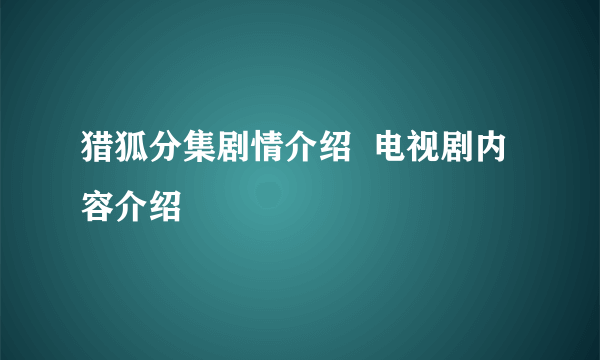 猎狐分集剧情介绍  电视剧内容介绍