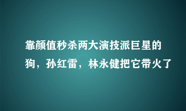 靠颜值秒杀两大演技派巨星的狗，孙红雷，林永健把它带火了