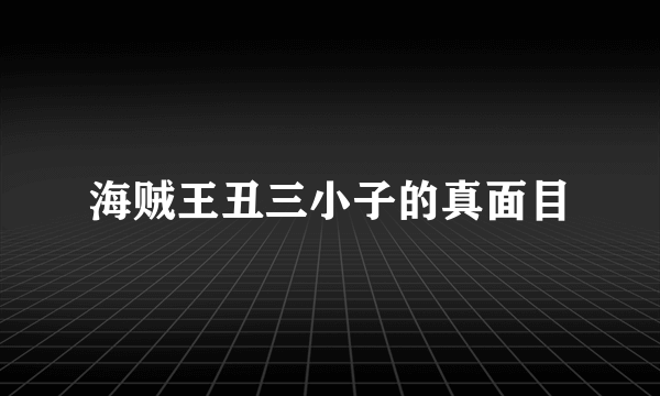 海贼王丑三小子的真面目