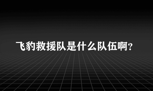 飞豹救援队是什么队伍啊？