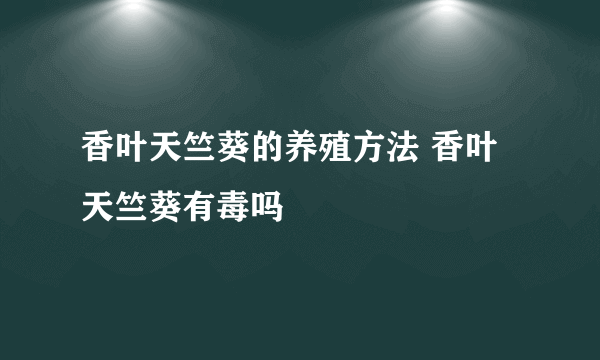 香叶天竺葵的养殖方法 香叶天竺葵有毒吗