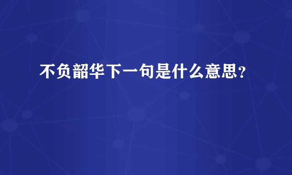 不负韶华下一句是什么意思？