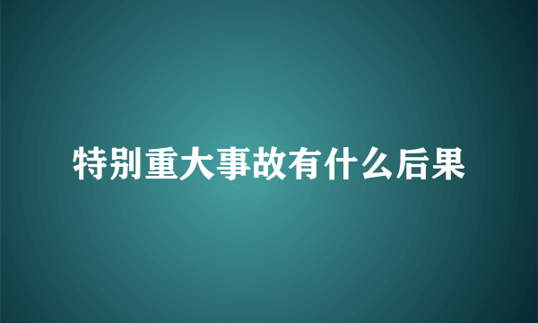 特别重大事故有什么后果