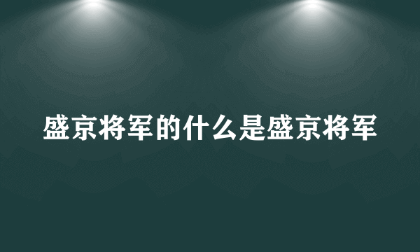 盛京将军的什么是盛京将军