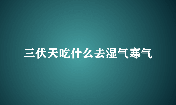 三伏天吃什么去湿气寒气