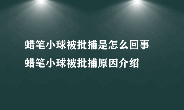 蜡笔小球被批捕是怎么回事 蜡笔小球被批捕原因介绍