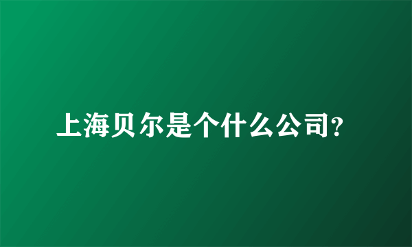 上海贝尔是个什么公司？