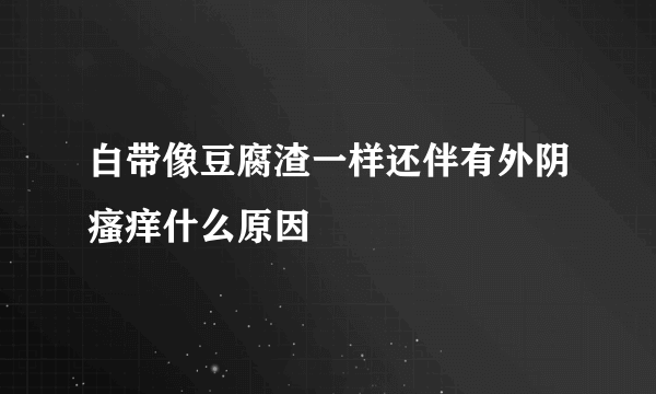 白带像豆腐渣一样还伴有外阴瘙痒什么原因