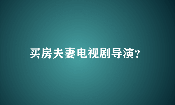 买房夫妻电视剧导演？