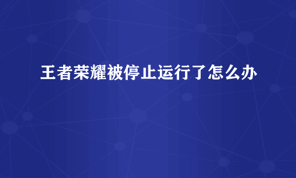 王者荣耀被停止运行了怎么办