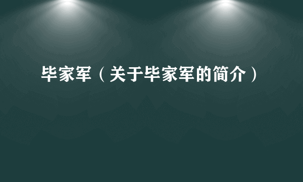 毕家军（关于毕家军的简介）