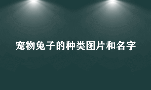 宠物兔子的种类图片和名字