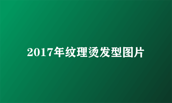 2017年纹理烫发型图片