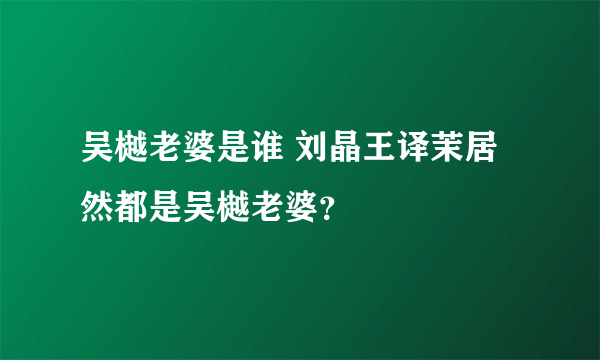 吴樾老婆是谁 刘晶王译茉居然都是吴樾老婆？ 