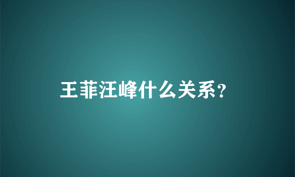 王菲汪峰什么关系？